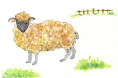 91年的羊五行属什么