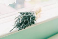 天干地支与生肖对照表