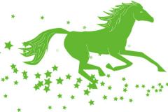 属马2023运势及运程详解 属马人2023年全年运势每月运程