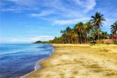 属鼠金牛座2024年运势