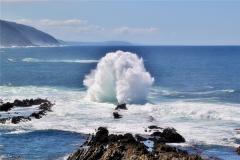 属鼠射手座2024年运势