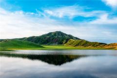 属鼠狮子座2024年运势